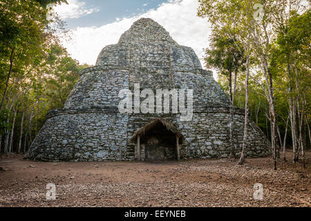 Xaibe, une tour d'observation, Coba ruines, près de Playa del Carmen, Yucatan, Mexique. Banque D'Images