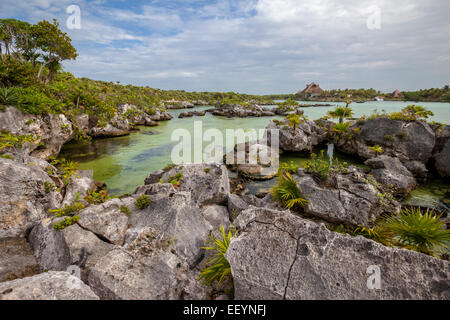 Xel Ha Eco-aventure Parc, Playa del Carmen, Riviera Maya, Yucatan, Mexique. Banque D'Images