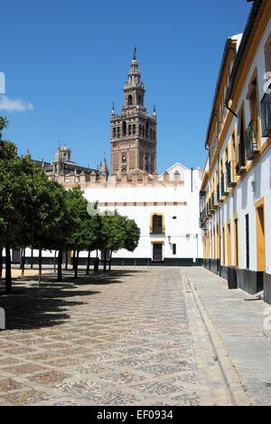 La tour Giralda vue depuis le Patio de las Banderas, Séville, Séville, Andalousie, province de l'Espagne, l'Europe de l'Ouest. Banque D'Images