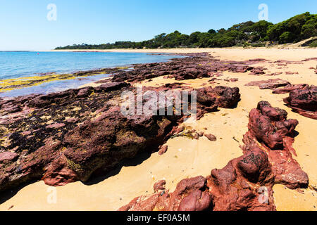 Red Rocks Beach, Phillip Island, Victoria, Australie Banque D'Images