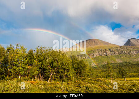 Les arcs-en-ciel double sur la forêt Banque D'Images