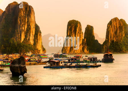 La baie d'Halong, Vietnam. Unesco World Heritage Site. Placez les plus populaires au Vietnam. Banque D'Images