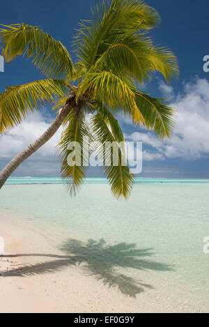 Les Îles Cook, Aitutaki (aka Araura). Un pied, une petite île 'motu' dans le sud-est de la lagune. Banque D'Images