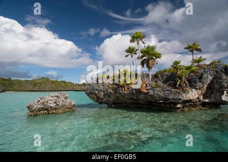 Les Fidji, le sud de l'archipel des Lau (île de Fulanga. Lagon pittoresque situé à l'intérieur de la caldeira volcanique. Îlots de champignons. Banque D'Images