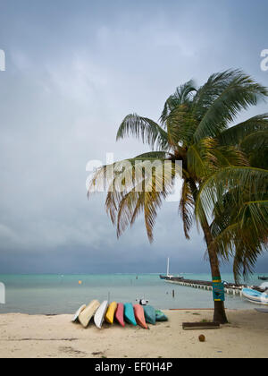 Dans l'île de Caye Caulker Belize Banque D'Images