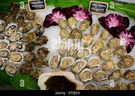 Le raw bar avec (de gauche à droite), d'admission Totten Hog Island et Cortes les huîtres à Mount Kisco en fruits de mer Mount Kisco, new York. Photo par Banque D'Images