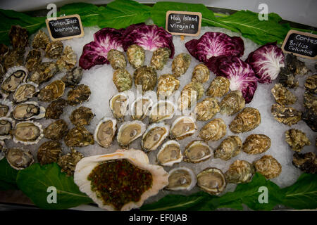 Le raw bar avec (de gauche à droite), d'admission Totten Hog Island et Cortes les huîtres à Mount Kisco en fruits de mer Mount Kisco, new York. Photo par Banque D'Images