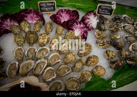 Le raw bar avec (de gauche à droite), d'admission Totten Hog Island et Cortes les huîtres à Mount Kisco en fruits de mer Mount Kisco, new York. Photo par Banque D'Images