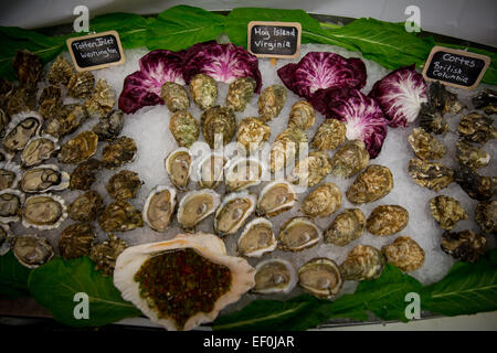 Le raw bar avec (de gauche à droite), d'admission Totten Hog Island et Cortes les huîtres à Mount Kisco en fruits de mer Mount Kisco, new York. Photo par Banque D'Images