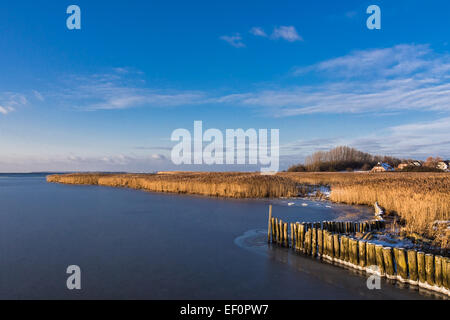 Paysage sur rives de la mer Baltique en Allemagne. Banque D'Images