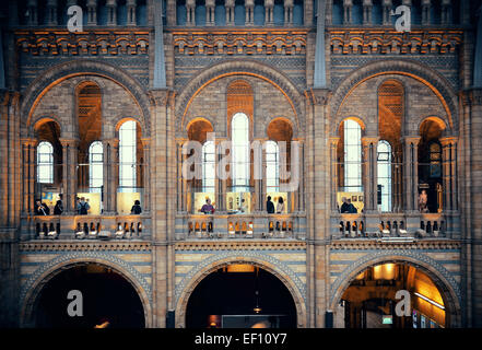 Londres, UK - OCT 26 : Musée d'histoire naturelle de l'intérieur le 26 septembre 2013 à Londres, au Royaume-Uni. C'est de l'Europe grande roue et le plus populaire attraction touristique de UK Banque D'Images