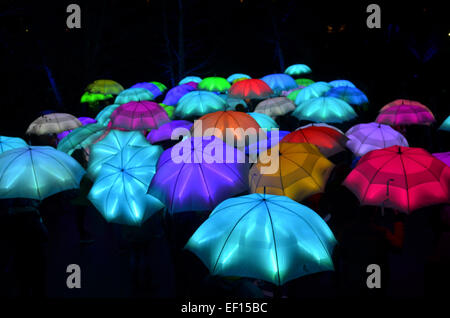 Bristol, Royaume-Uni. 24 Jan, 2015. La cérémonie d'ouverture de Bristol, capitale verte européenne 2015 Gagnants. Des parasols aux couleurs vives et un groupe appelé Dame Nade ( chant) Seb Gutiez (guitare) et Dan Everett (contrebasse), de Bristol et de finition avec des stars internationales, le Cirque Bijouk Haut Fil d'équilibre entre deux bâtiments, mari et femme Kindar Martin sur Location et Karine Mauffrey. Crédit : Robert Timoney/Alamy Live News Banque D'Images