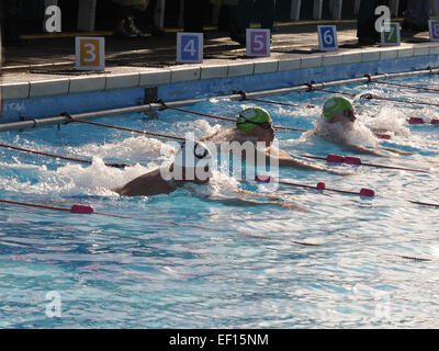 Londres, Royaume-Uni. 24 Jan, 2015. En poussant sur de la prise au début d'une tête en haut bresatstroke la race. Natation avec tête hors de l'eau permet aux nageurs de nager dans l'eau glacée sans se geler le cerveau. Credit : Susanne Masters/Alamy Live News Banque D'Images