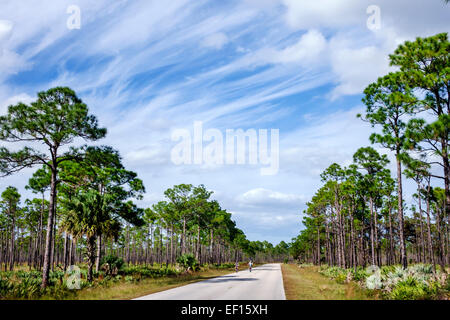 Hobe Sound Florida,Tequesta,Jonathan Dickinson State Park,nature,paysage naturel,pins,route,Park Drive,femme femmes,amis,vélo d'équitation b Banque D'Images