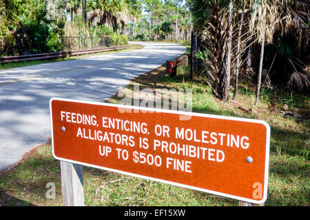 Hobe Sound Florida,Tequesta,Jonathan Dickinson State Park,Park Drive,route,panneau,alimentation alligators interdit,FL141120080 Banque D'Images