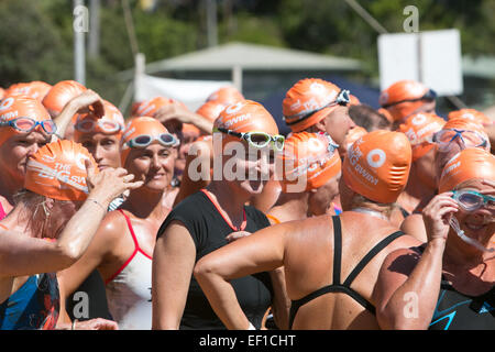 Sydney, Australie. 25th janvier 2015. Il s'agit de la course de natation de 41st au bord de l'océan, de Palm Beach Pavillion au centre de Whale Beach, Sydney, avec des femmes d'âge moyen et des femmes de trente ans qui se préparent pour un événement, toutes portant des bonnets de bain orange Banque D'Images