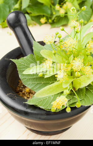 Mortier et pilon avec des fleurs de tilleul, phytothérapie Banque D'Images