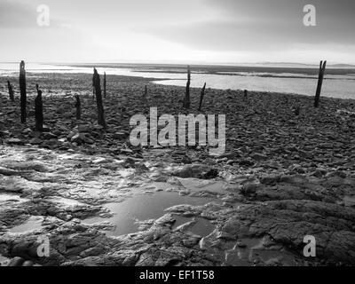 Plage par château de Lindisfarne sur l'île sacrée de Lindisfarne avec épis Banque D'Images