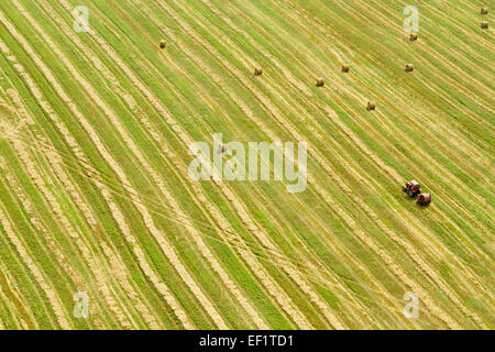 Une vue aérienne du tracteur travaillant dans le champ d'été Banque D'Images