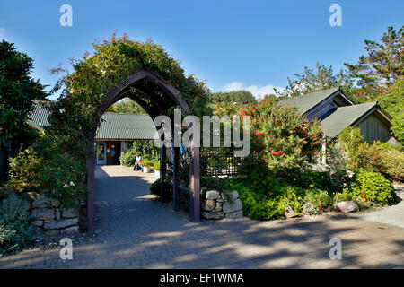 Jardins de l'abbaye de Tresco Entrée Îles Scilly ; UK Banque D'Images