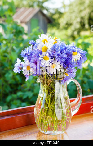 Bouquet de marguerites et de bleuet bleu en pot sur la fenêtre Banque D'Images