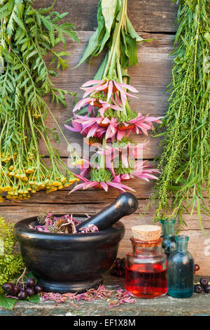 Bouquets d'herbes curatives sur mur en bois, pierre noire de mortier et de bouteilles en verre, phytothérapie Banque D'Images