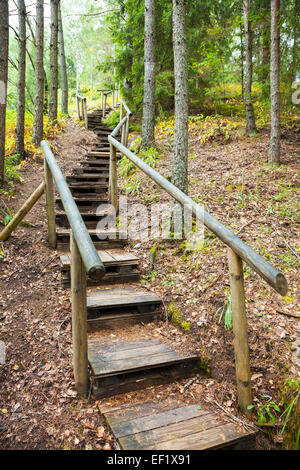 Escalier en bois de montagne forêt, sentier nature en réserve Banque D'Images