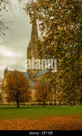 La cathédrale de Salisbury du fermer Banque D'Images