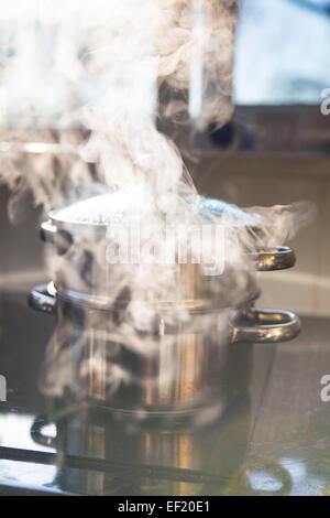 Un bateau à vapeur de légumes sur une plaque de cuisson. Banque D'Images