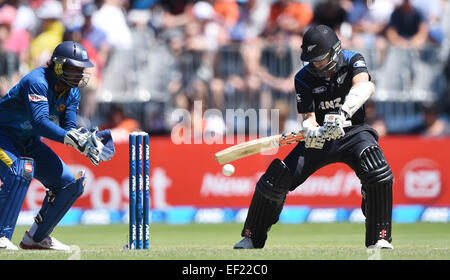 25.01.2015. Dundedin, Nouvelle-Zélande. Kane Williamson. Un jour de l'ANZ série international de cricket. Match 6 entre la Nouvelle-Zélande chapeau noir et le Sri Lanka à l'Ovale de l'Université de Dunedin. La Nouvelle-Zélande. Dimanche 25 janvier 2015. Banque D'Images