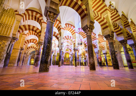 Dans la salle hypostyle Mosque-Cathedral de Cordoue. Le site a une riche histoire religieuse et est en ce moment une cathédrale. Banque D'Images