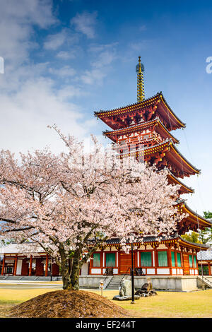 Nara, Japon, à la Pagode du Temple Yakushi-ji. Banque D'Images