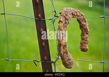 Un fer à cheval rouillé à une clôture. Banque D'Images