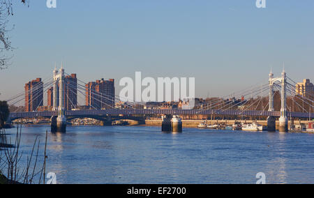 Albert Bridge et de la Tamise, Londres, Angleterre, Europe. Banque D'Images