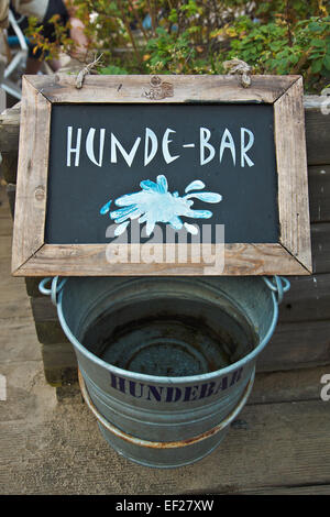 Point d'eau pour les chiens. Banque D'Images