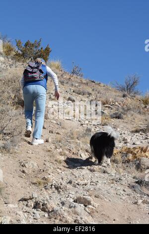 84 ans randonneur avec son Border Collie escalade pente sur le sentier. Montagnes de Sandia près de Albuquerque, Nouveau Mexique - USA. Banque D'Images