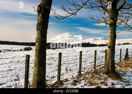 La neige a couvert la montagne Saddleback Blencathra ou dans le Parc National de Lake District Cumbria England Royaume-Uni Banque D'Images