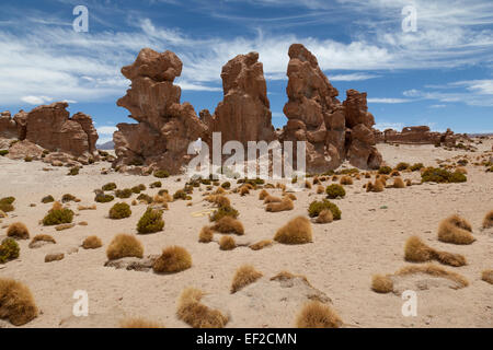 Valle de las Rocas, Altiplano Bolivien, Bolivie, Amérique du Sud Banque D'Images