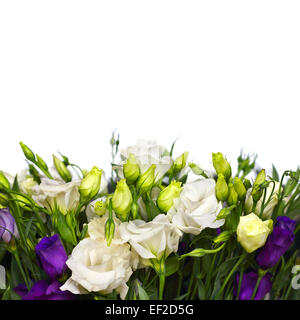 Bouquet de fleurs blanches et violettes sur lisianthus blancs Banque D'Images