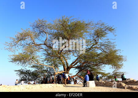 Les personnes qui désirent visiter l'arbre de vie, (espèces Prosopis cineraria), Royaume de Bahreïn Banque D'Images