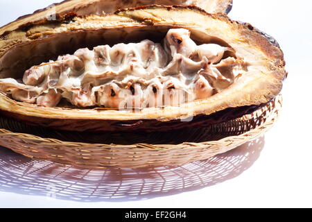 Theobroma cacao pod ouvert en deux sur fond blanc Banque D'Images