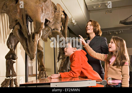 L'enseignant et les étudiants en musée par le fossile de dinosaure afficher Banque D'Images