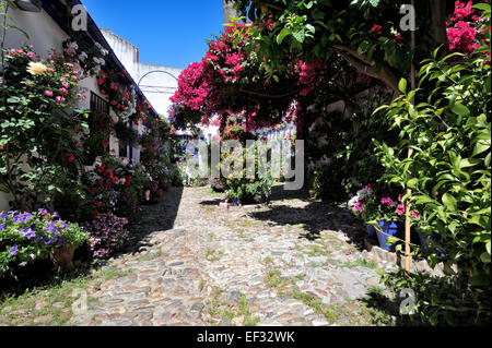 Cour intérieure pendant le Festival des patios (el Festival de Los Patios Cordobeses), Cordoue, Espagne Banque D'Images