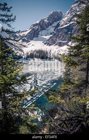 Lago di Braies alias Pragser Wildsee en Tyrol du Sud, Italie Banque D'Images