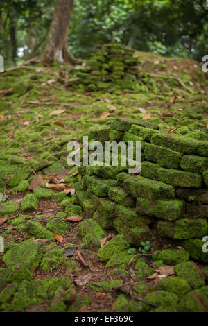 Morceaux de briques de la ruine d'une ancienne structure à candi Koto Mahligai (temple de Koto Mahligai) à Muaro Jambi, Jambi, Indonésie. Banque D'Images