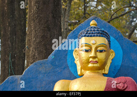 Beau fragment de statue de Bouddha à Katmandou, Népal Banque D'Images