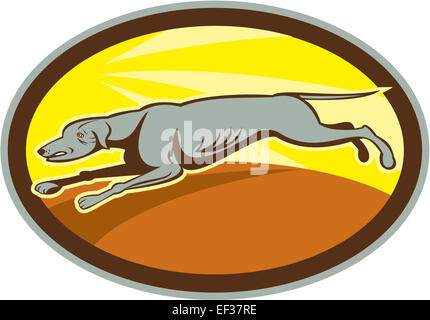 Illustration d'un chien Greyhound Racing saut exécuté vu du côté situé à l'intérieur sur fond isolé ovale fait en cartoon style. Banque D'Images