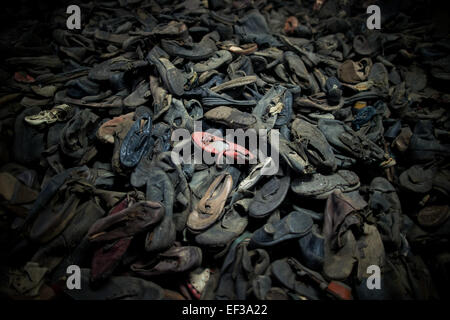 Oswiecim, Pologne. 26 janvier, 2015. Chaussures de victimes de l'ancien camp de concentration et d'extermination d'Nazi-German KL Auschwitz I en vue de la prochaine 70e anniversaire de la libération du camp d'Oswiecim, Pologne, 26 janvier 2015. Photo : Rolf Vennenbernd/dpa/Alamy Live News Banque D'Images