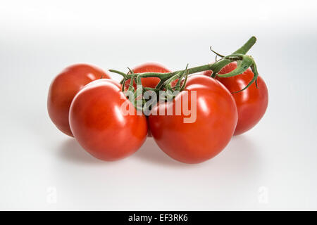 Les tomates sur la vigne Banque D'Images