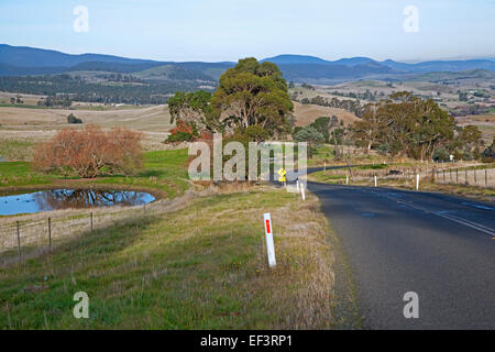 Route sinueuse en milieu rural campagne entre Hobart et Oatlands, Tasmanie, Australie Banque D'Images